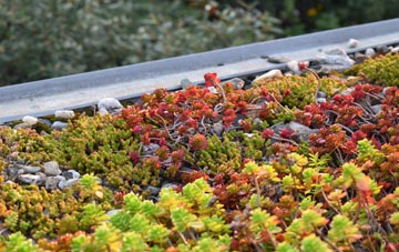the cost of Ocker Hill green roof installation