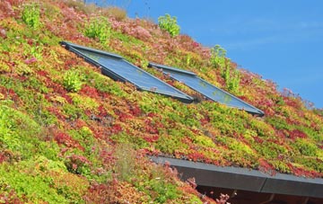 Ocker Hill living roof systems